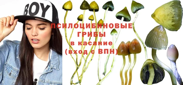 ПСИЛОЦИБИНОВЫЕ ГРИБЫ Абдулино